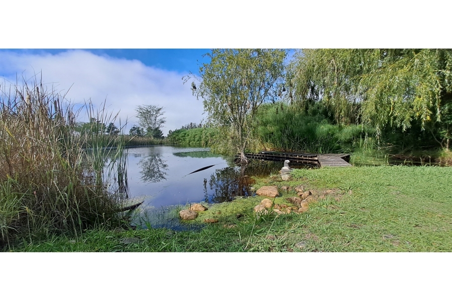 0 Bedroom Property for Sale in Swellendam Rural Western Cape